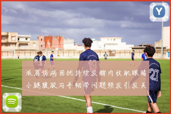 浓眉伤病困扰持续发酵内收肌眼睛小腿腹股沟手韧带问题频发引发关注