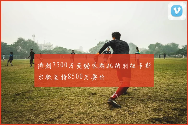 热刺7500万英镑求购托纳利纽卡斯尔联坚持8500万要价